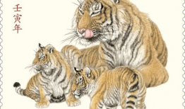 四虎视频,网络红人现象背后的故事