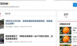 快手短视频怎么赚钱,揭秘赚钱攻略与变现技巧